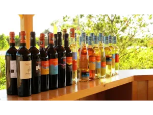 wine tours prince edward county sandbanks