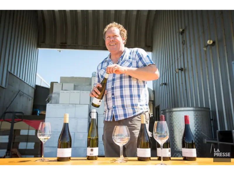 1599685 norman hardie