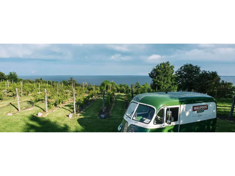 dcd84d cbb54c35271a4dc684236f0d3bfa6b3f mv2 1