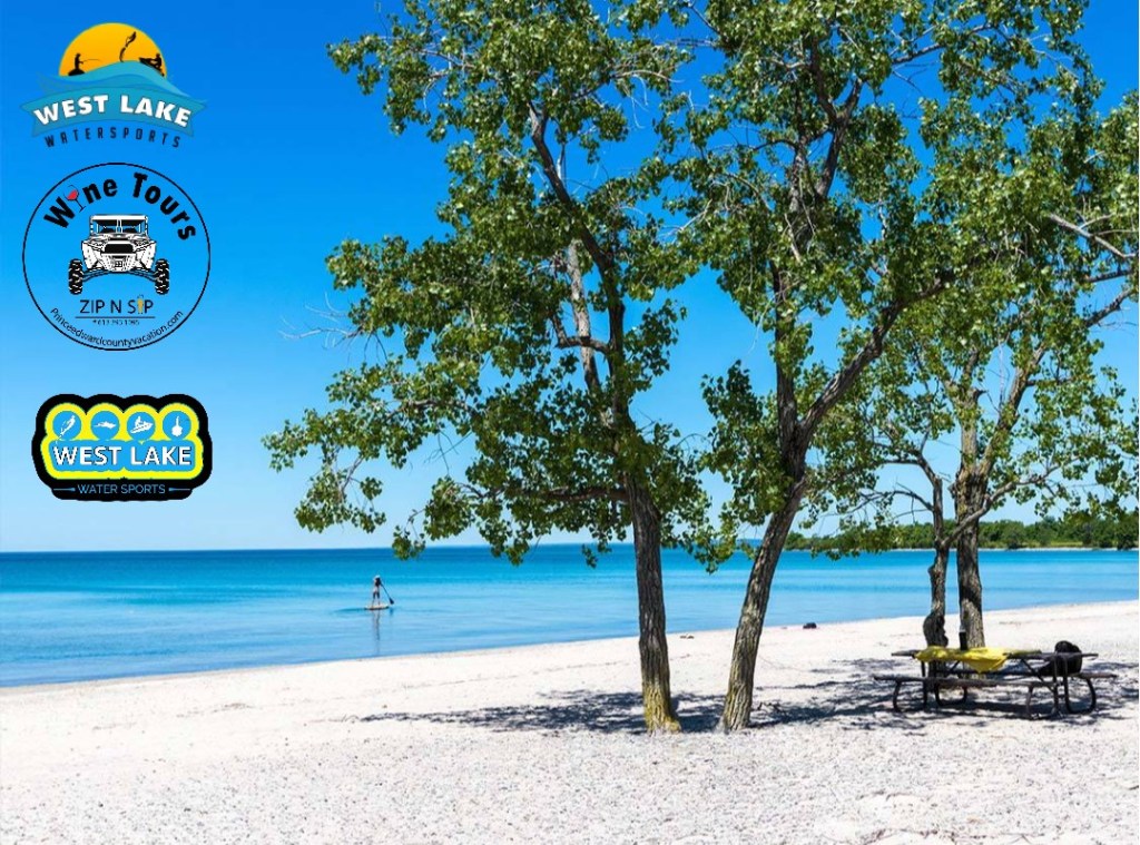 1 The Best Cottage Rentals Near Sandbanks Escape Now