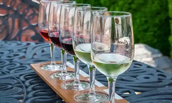 sandbanks wine tours in prince edward county