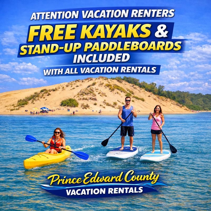 kayak stand up paddleboard sup